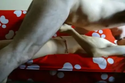 ABG Bispak Jakarta Terekam ML di Hotel Kamar Mewah Skandal Terbaru 2026